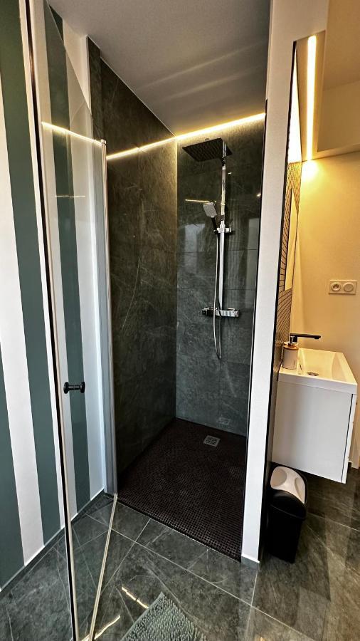 Apartmán Katrine Saint-Etienne  Exteriér fotografie