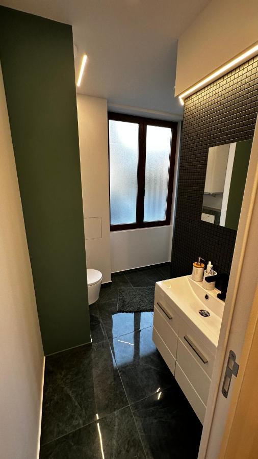Apartmán Katrine Saint-Etienne  Exteriér fotografie